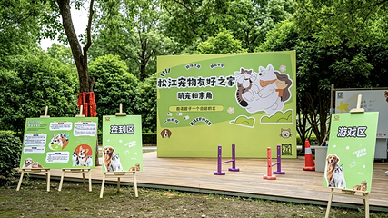 宠聚落·浪浪岛第 2 张图片