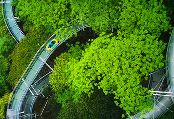 海南百花岭热带雨林文化旅游区第 29 张图片
