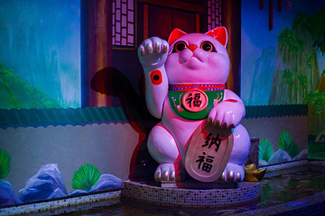 宁夏幻太奇海洋公园第 30 张图片