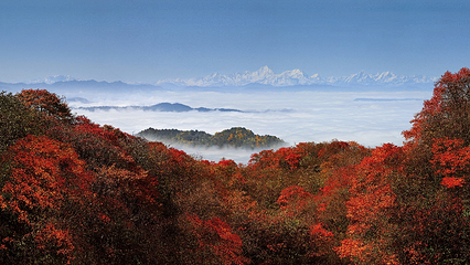 峨眉山第 84 张图片