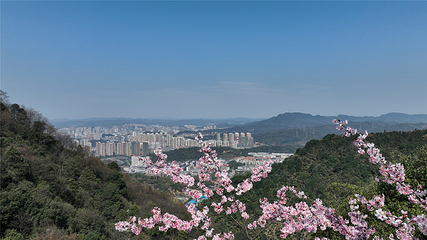 王仙岭旅游风景区第 30 张图片