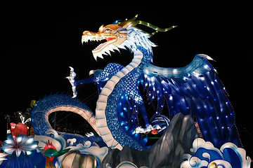 廊坊千灯会第 7 张图片