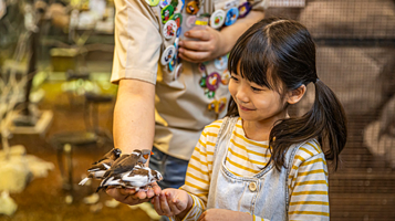 Zoolung Zoolung室内萌宠乐园(GYEONGJU分店)