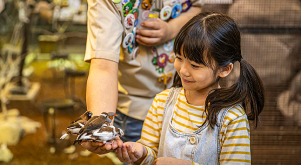 Zoolung Zoolung室内萌宠乐园(GYEONGJU分店)