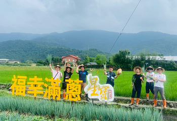 星宝葱体验农场第 18 张图片