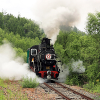 内蒙古阿里河国家森林公园