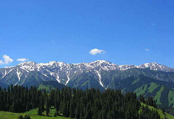 南山牧场西白杨沟景区第 58 张图片