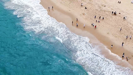 大梅沙海滨公园第 82 张图片