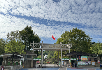 红山森林动物园第 64 张图片