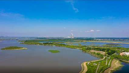 呼兰河口湿地公园第 37 张图片