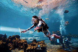 三亚特缔思潜水中心(天房洲际店)