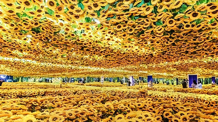 梵高星空艺术馆(重庆店)第 1 张图片