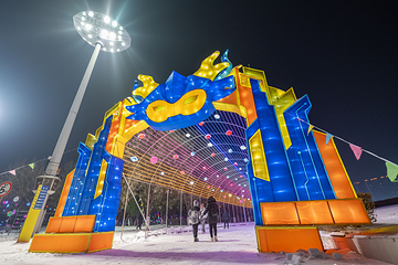 沈阳奥体冰雪嘉年华第 12 张图片