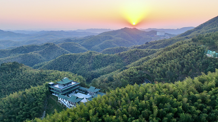桃花江竹海景区第 5 张图片