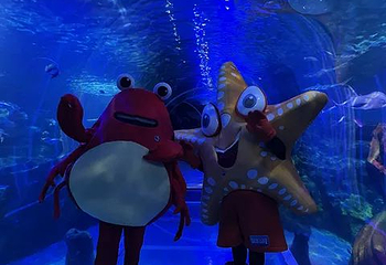 国家海洋生物中心第 9 张图片