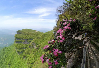 汉中龙头山国际旅游度假区第 95 张图片