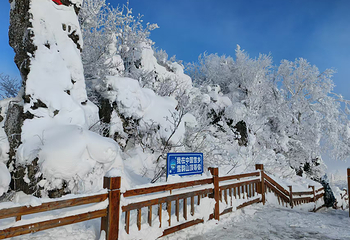 雪乡狗熊岭景区第 29 张图片