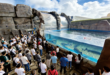 海滨城浩海立方海洋公园第 39 张图片