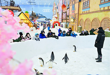 广州热雪奇迹第 196 张图片