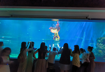 南充海昌海洋探索馆第 21 张图片