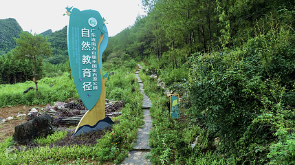 万山朝王国家石漠公园第 2 张图片