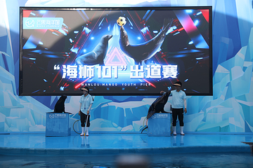 万楼第 17 张图片