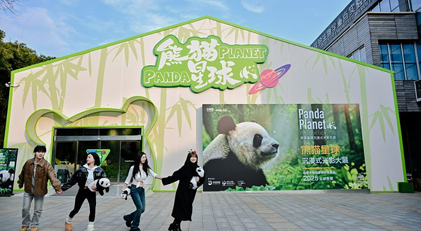 熊猫星球沉浸式光影大展-成都首馆