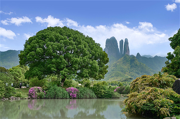 江郎山风景名胜区第 36 张图片