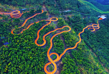 莫干山江南瑶坞旅游度假区第 45 张图片