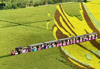 稻梦空间第 88 张图片