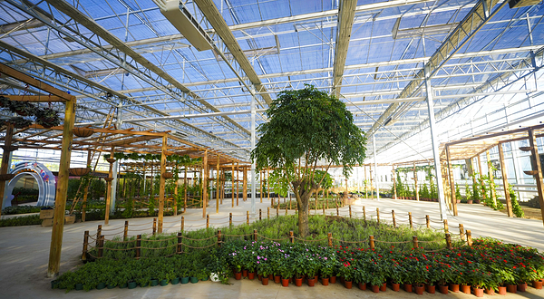 烟台回里农博园