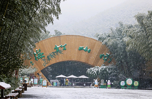 天目湖南山竹海景区