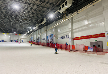 三只熊冰雪王国第 31 张图片