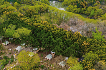 大象露营Elephant Camping第 10 张图片