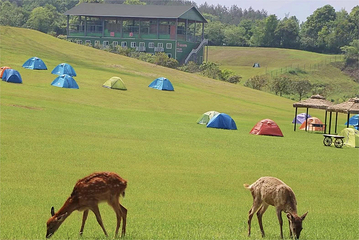 绵阳北川飞鸿滑草场第 8 张图片