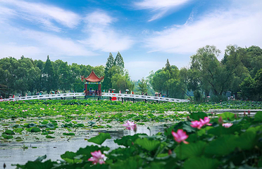 洪湖生态旅游区第 8 张图片