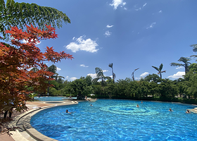 石林红杉湖温泉