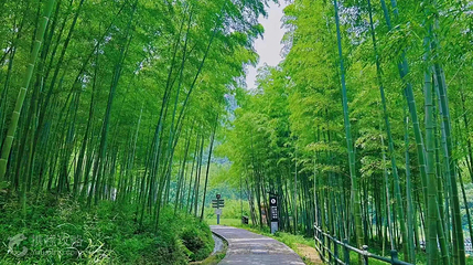 龙津溪地第 5 张图片