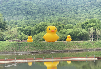 帽儿山漂流第 13 张图片
