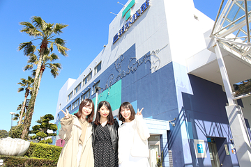 鸟羽水族馆第 9 张图片