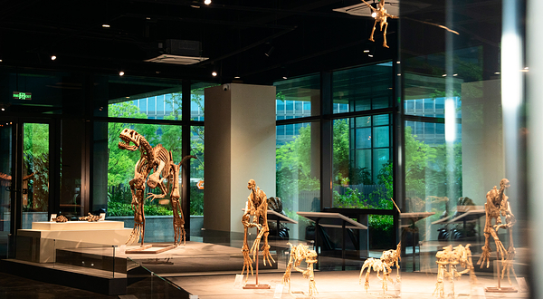 南京矿物文化艺术馆