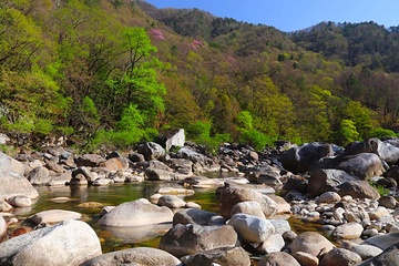青峰峡森林公园第 12 张图片