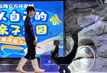 恒远海立方·中山海洋馆第 60 张图片