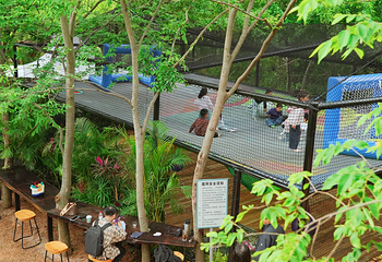 岭下河畔·NEST雨林吧第 9 张图片