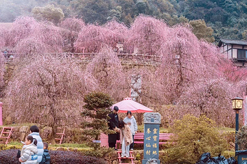 葛仙村度假区第 168 张图片