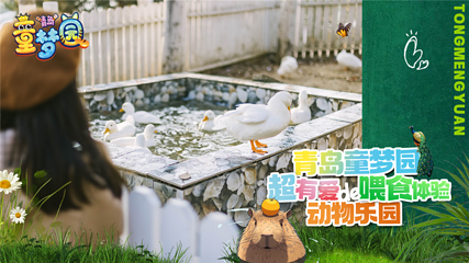 青岛童梦园第 2 张图片