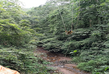 基诺山巴朵幽谷雨林徒步第 22 张图片