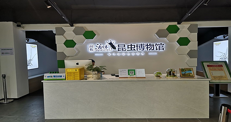 川北活体昆虫博物馆第 3 张图片