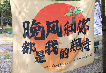 国花牡丹园第 20 张图片