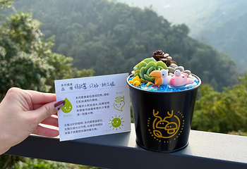 鹿芝谷第 34 张图片